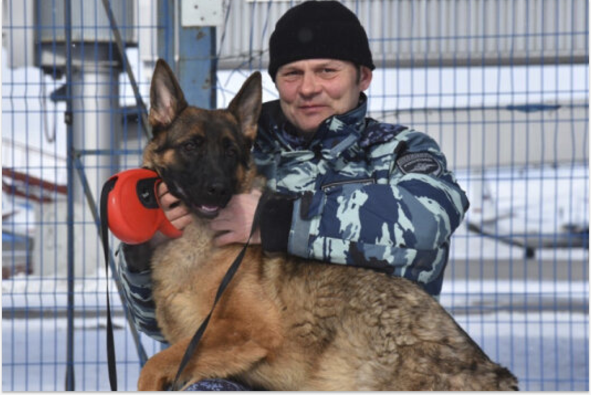 На Чукотке началась служба молодой овчарки, обученной поиску и задержанию преступников