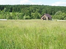 За год подмосковные участки без подряда подорожали на 14%, их площадь снизилась на 8%