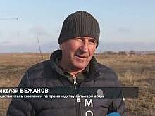 В Усть-Донецком районе предприниматели участвуют в высадке лесов