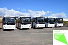При поддержке областного бюджета Братск получил 21 автобус на газовом топливе