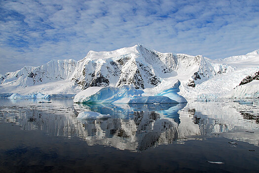 В Антарктиде найден "неубиваемый" вирус
