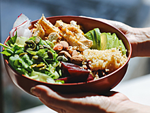 Названы необходимые для пищеварения молекулы