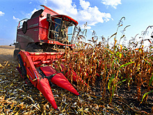 Малым фермерам надо сделать ставку на объединение в сельхозкооперативы
