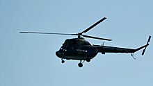 В Татарстане вертолет Ми-2 совершил вынужденную посадку