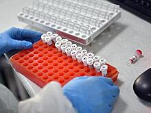 «Гемотест» оштрафовали на 60 тысяч рублей из-за утечки данных клиентов