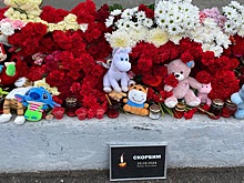 Глава Рязанской гордумы Татьяна Панфилова отозвалась на теракт в "Крокусе"