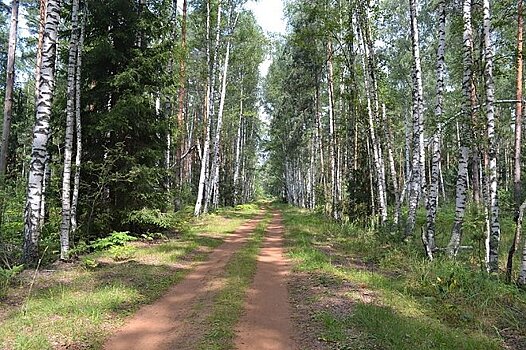 Авиапатрули будут отслеживать браконьеров в Нижегородской области