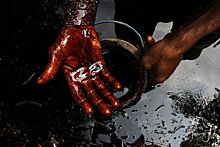 Минфин сообщил о средней цене на нефть Urals