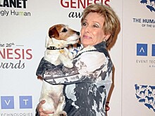 Обладательница «Оскара» Клорис Личмен умерла в США