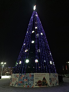 Вандалы в Кузбассе срезали гирлянду с новогодней ели на площади