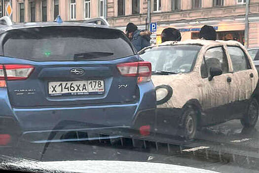 Автомобиль-панда попал в ДТП в Санкт-Петербурге