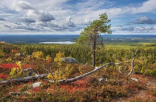 Где лучше всего посмотреть золотую осень в Сибири