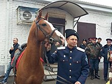В Ростовской области есаул пришел на выборы с конем
