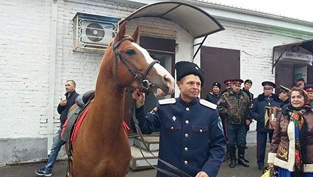 В Ростовской области есаул пришел на выборы с конем