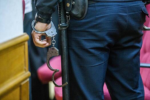 Россиянин сел на 12,5 года за помощь сыну