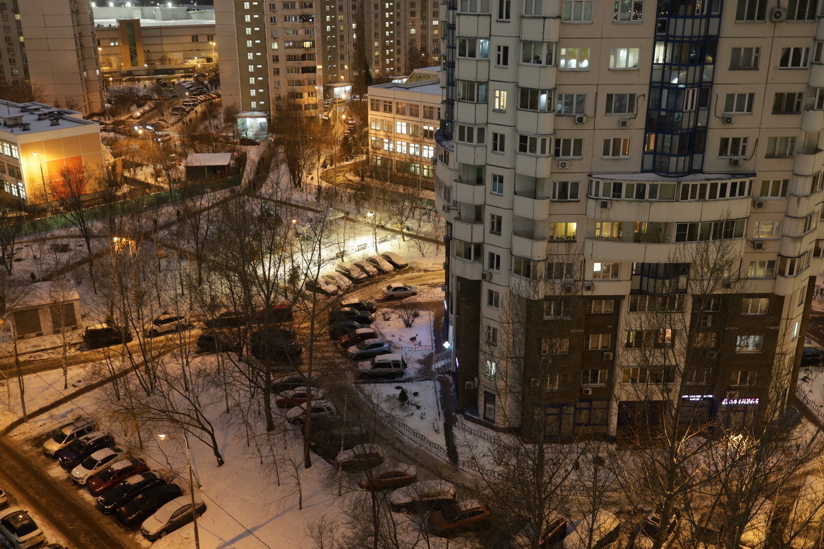 Искавшую главную крысу буйную россиянку задержали соседи