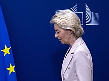 FT: Макрон язвительно раскритиковал идею фон дер Ляйен о "стене дронов"