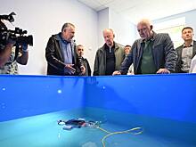 Александр Дрозденко оценил организацию инженерных классов в школе Выборга