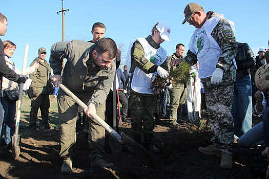 В ДНР высадили памятные деревья в рамках акции "Сад памяти"