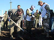 В ДНР высадили памятные деревья в рамках акции "Сад памяти"
