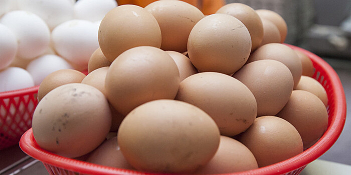 Фабрику по производству куриных яиц запустили в Кыргызстане