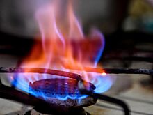 Глава регулятора ФРГ призвал к экономии газа в преддверии зимы