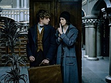 Movie look: как повторить модные образы сестер Голдштейн из «Фантастических тварей»