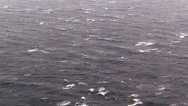 Два пустых гидрокостюма обнаружены на месте крушения судна в Черном море