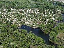 Волго- Ахтубинская пойма: 300-летние дубы - под бульдозер