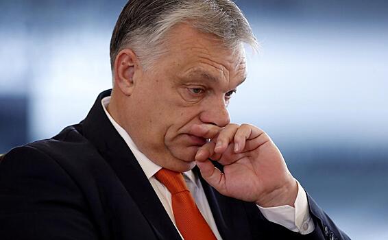 В Венгрии оценили вероятность встречи Орбана и Зеленского