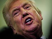 Артемий Лебедев заподозрил у Трампа психическое расстройство