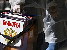 Все приличия отброшены: референдум в багажнике (Детали, Израиль)