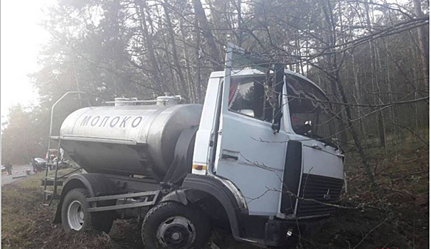 Трагедия под Петриковом: в ДТП погибла семья с 3-летним ребенком