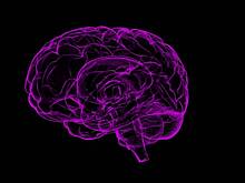 Невролог Кудряшов объяснил, как предсказать развитие у человека болезни Альцгеймера
