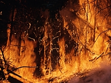 В Якутии чрезвычайно высокий уровень пожарной опасности