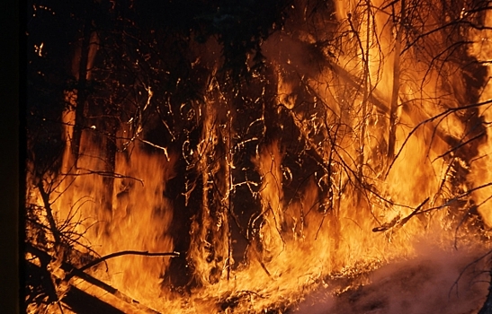 В Якутии чрезвычайно высокий уровень пожарной опасности