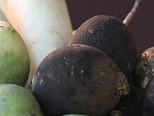 Медики сообщили о вреде и пользе сока черной редьки