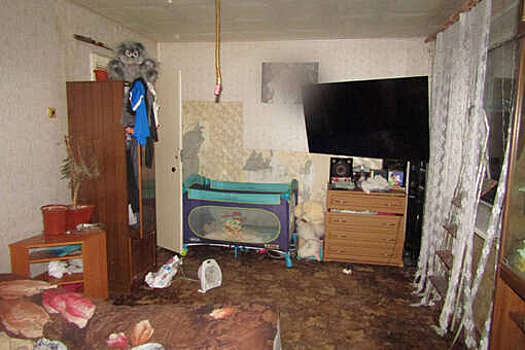 ТАСС: стало известно о состоянии детей из Норильска, брат которых умер от голода