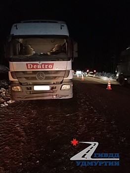 Вблизи деревни Пугачёво грузовик сбил пешехода