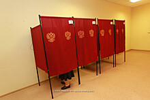 Стали известны предварительные результаты выборов в Гордуму Нижнего Новгорода