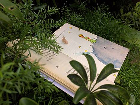 Глава «Газпром-медиа» назвал обязательную к прочтению книгу