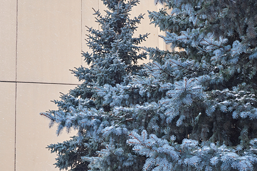 Тепло до +2°C придет в Кузбасс на смену жутким морозам