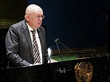 Небензя: деда Зеленского арестовали бы по законам нынешней Украины
