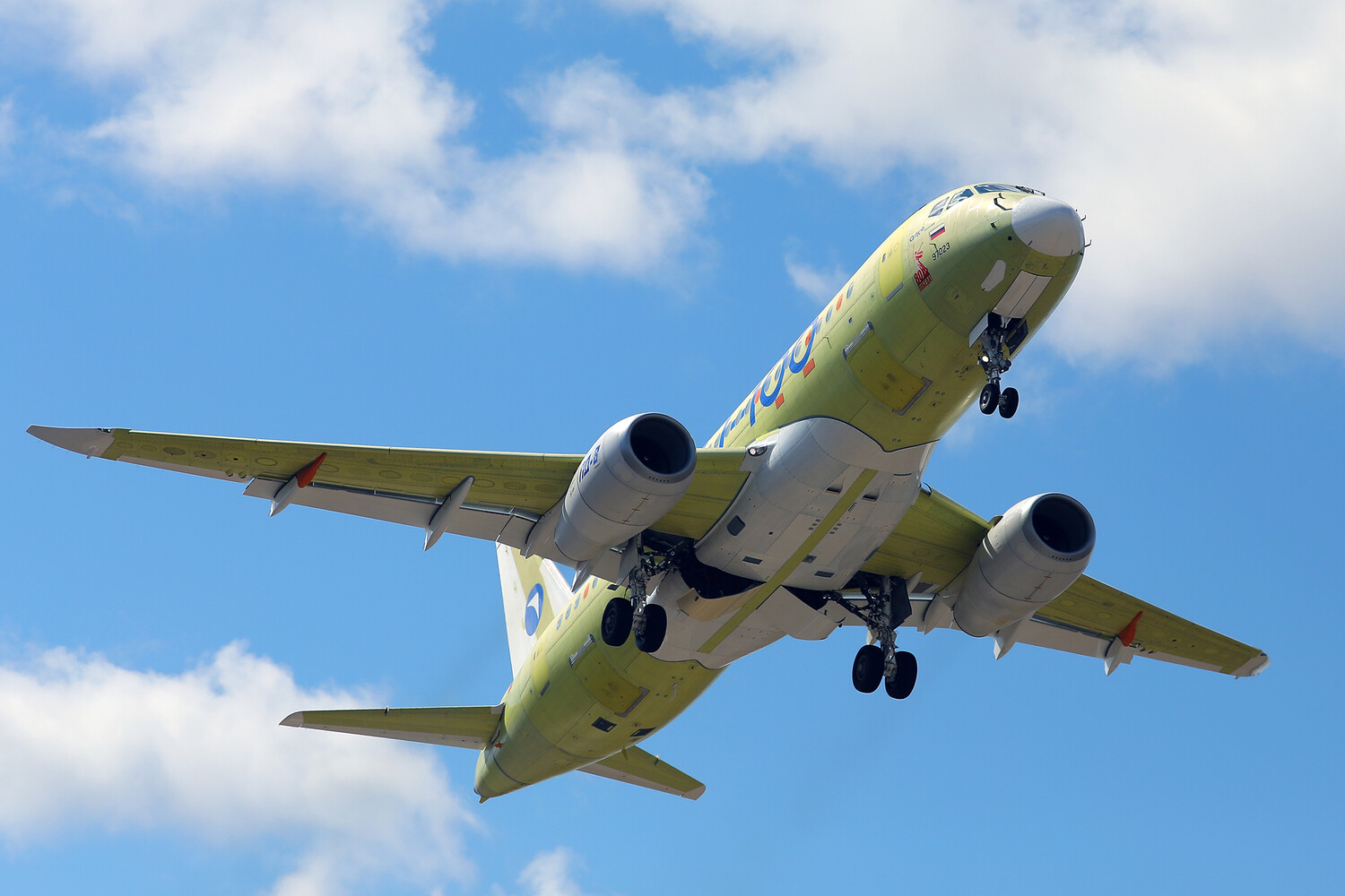 Новые двигатели самолета SJ-100 прошли тест на птицах