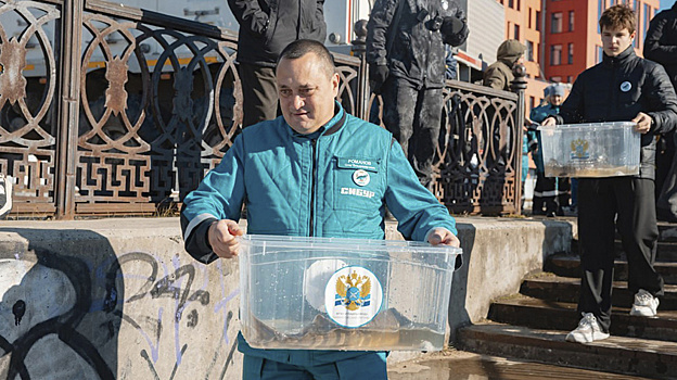 Порядка 100 особей осетра выпустили в Нижневартовске в Обь