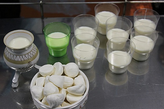 В поселке Белая Гора открыли молочный цех
