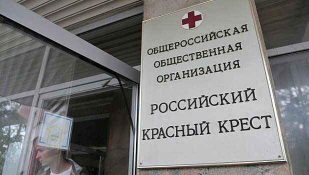 Российский Красный Крест предлагает создать "образовательный фронт" для молодежи