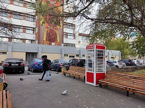 В Челябинске появилась телефонная будка для книголюбов