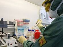 Вирус, да не тот. 27 детей-сирот госпитализировали в Горном Алтае