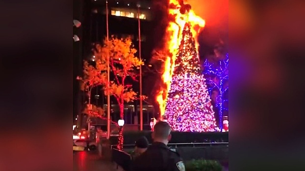 В центре Манхэттена подожгли 15-метровую рождественскую елку